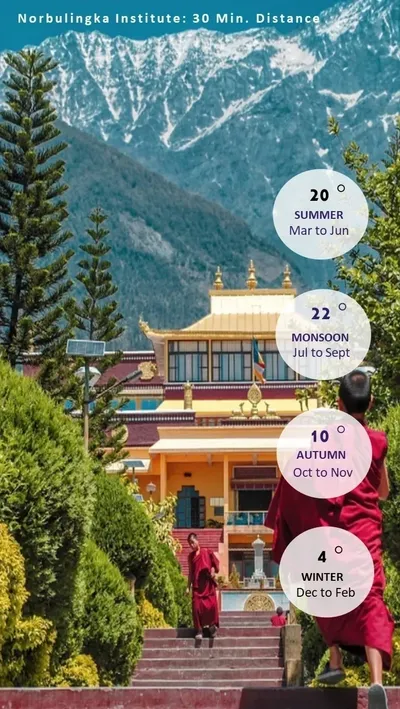 Royal Nest Forest View